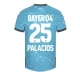 Bayer 04 Leverkusen Fußballtrikots Palacios #25 2023-24 Ausweichtrikot Herren