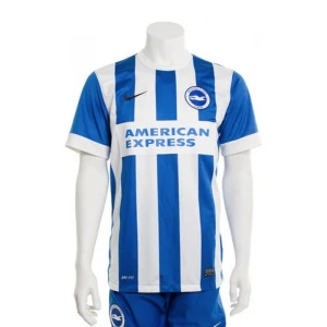 Brighton Hove Albion 2014-15 Heimtrikot