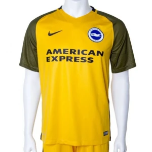 Brighton Hove Albion 2018-19 Ausweichtrikot