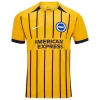 Brighton Hove Albion Fußballtrikot 2024-25 Auswärtstrikot Herren