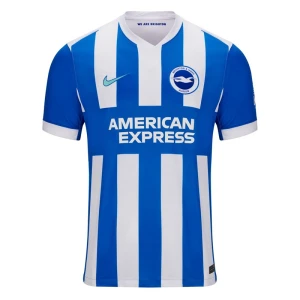 Brighton Hove Albion Webster #4 Fußballtrikot 2025-26 Heimtrikot Herren