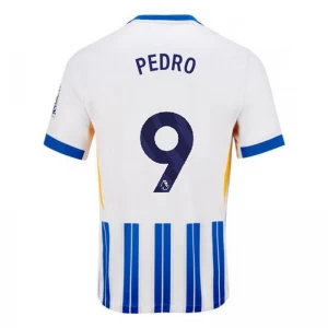 Brighton Hove Albion Pedro #9 Fußballtrikot 2024-25 Heimtrikot Herren