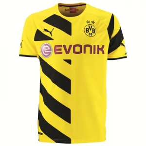 BVB Borussia Dortmund 2014-15 Heimtrikot