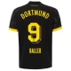 BVB Borussia Dortmund Fußballtrikots 2023-24 Haller #9 Auswärtstrikot Herren