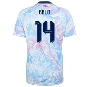 Costa Rica Fußballtrikot 2026 Galo #14 Auswärtstrikot Herren