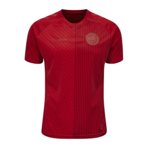 Dänemark 2021 Ausweichtrikot
