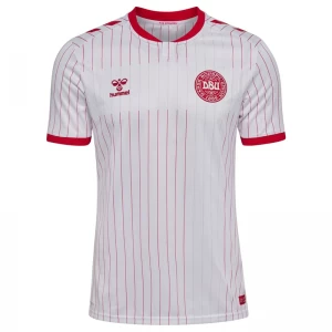 Dänemark Fußballtrikot 2026 Auswärtstrikot Herren