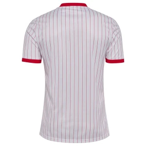 Dänemark Fußballtrikot 2026 Auswärtstrikot Herren