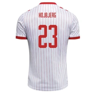 Dänemark Fußballtrikot 2026 Hojbjerg #23 Auswärtstrikot Herren