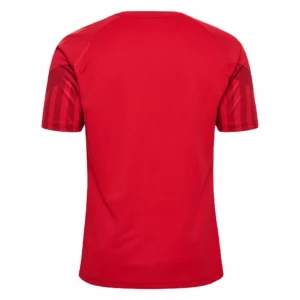 Dänemark Fußballtrikot WM 2022 Heimtrikot Herren