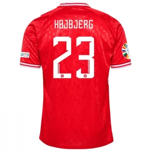 Dänemark Hojbjerg #23 Fußballtrikot 2024 Heimtrikot Herren
