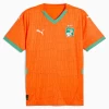 Elfenbeinküste Fußballtrikot 2025 Heimtrikot Herren