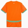 Elfenbeinküste Fußballtrikot 2025 Heimtrikot Herren
