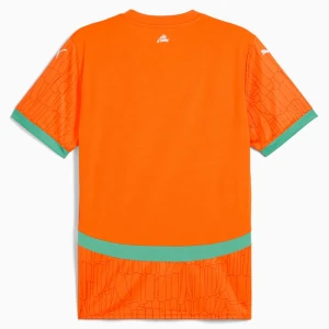 Elfenbeinküste Fußballtrikot 2025 Heimtrikot Herren