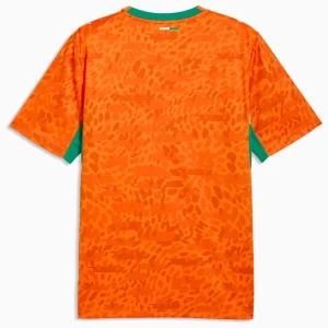 Elfenbeinküste Fußballtrikot WM 2026 Heimtrikot Herren