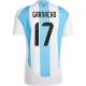 Garnacho #17 Argentinien Fußballtrikots Copa America 2024 Heimtrikot Herren