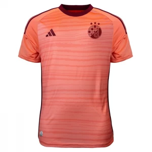 GNK Dinamo Zagreb Fußballtrikot 2023-24 Auswärtstrikot Herren