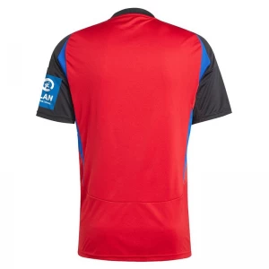 Hamburger SV Fußballtrikot 2024-25 Ausweichtrikot Herren