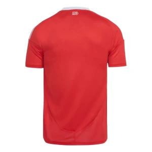 Internacional Fußballtrikot 2025-26 Heimtrikot Herren