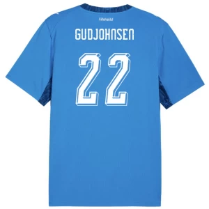 Island Gudjohnsen #22 Fußballtrikot 2026 Heimtrikot Herren