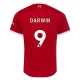 Liverpool FC Darwin #9 Fußballtrikots 2023-24 Heimtrikot Herren