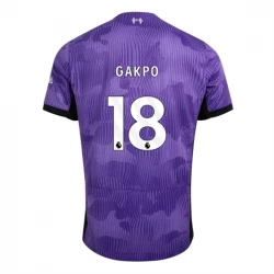 Liverpool FC Fußballtrikots Cody Gakpo #18 2023-24 Ausweichtrikot Herren