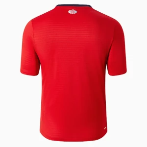 LOSC Lille Fußballtrikot 2024-25 Heimtrikot Herren