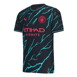 Manchester City 2023-24 Ausweichtrikot