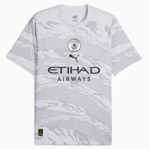Manchester City 2024-25 Dragon Heimtrikot