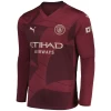 Manchester City Fußballtrikot Erling Haaland #9 2024-25 Ausweichtrikot Herren Langarm