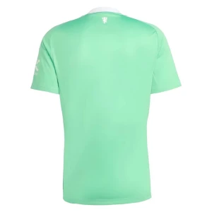 Manchester United Fußballtrikot 2025-26 Torwart Ausweichtrikot Herren