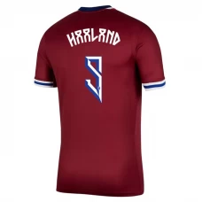 Norwegen Erling Haaland #9 Fußballtrikot 2024 Heimtrikot Herren