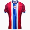 Norwegen Erling Haaland #9 Fußballtrikot 2024 Heimtrikot Herren
