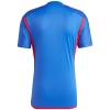 Olympique Lyonnais Fußballtrikot 2023-24 Auswärtstrikot Herren