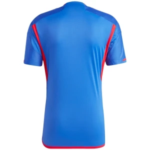 Olympique Lyonnais Fußballtrikot 2023-24 Auswärtstrikot Herren