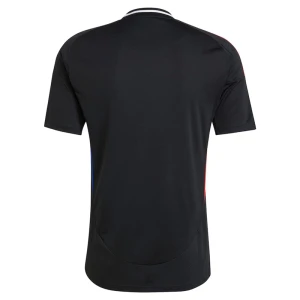 Olympique Lyonnais Fußballtrikot 2024-25 Auswärtstrikot Herren