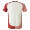 Olympique Lyonnais Fußballtrikot 2024-25 Ausweichtrikot Herren