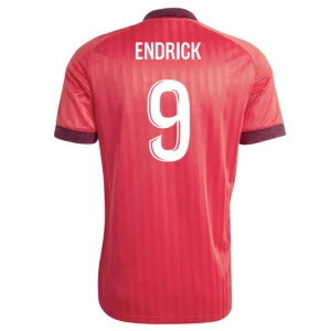 Olympique Lyonnais Fußballtrikot 2026-27 Endrick #9 Auswärtstrikot Herren