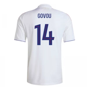 Olympique Lyonnais Govou #14 Fußballtrikot 2025-26 Heimtrikot Herren