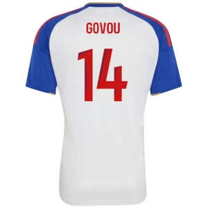 Olympique Lyonnais Govou #14 Fußballtrikot 2026-27 Heimtrikot Herren