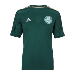 Palmeiras 2014-15 Heimtrikot