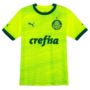 Palmeiras 2023-24 Ausweichtrikot