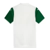 Palmeiras Fußballtrikot 2025-26 Auswärtstrikot Herren