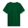 Palmeiras Fußballtrikot 2025-26 Heimtrikot Herren
