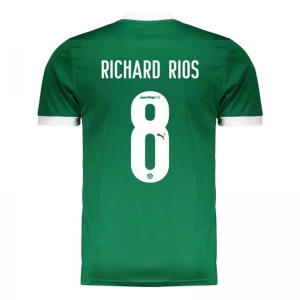 Palmeiras Richard Rios #8 Fußballtrikot 2025-26 Heimtrikot Herren