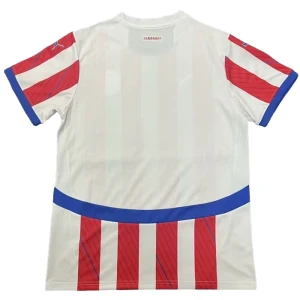 Paraguay Fußballtrikot Copa America 2024 Heimtrikot Herren