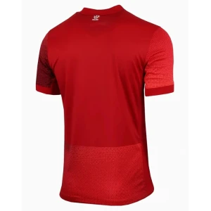 Polen Fußballtrikot EM 2024 Auswärtstrikot Herren
