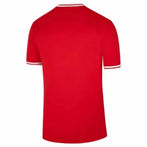 Polen Fußballtrikot WM 2022 Auswärtstrikot Herren