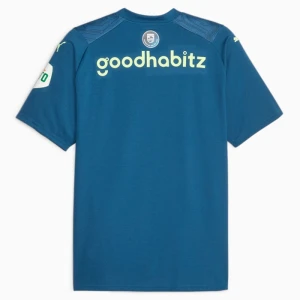PSV Eindhoven Fußballtrikot 2023-24 Ausweichtrikot Herren