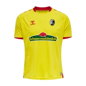 SC Freiburg 2020-21 Ausweichtrikot